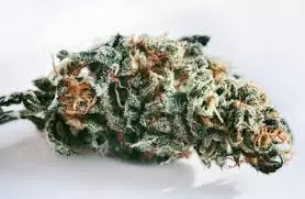 Hawaiian Snow