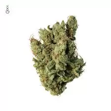 Super Silver Haze